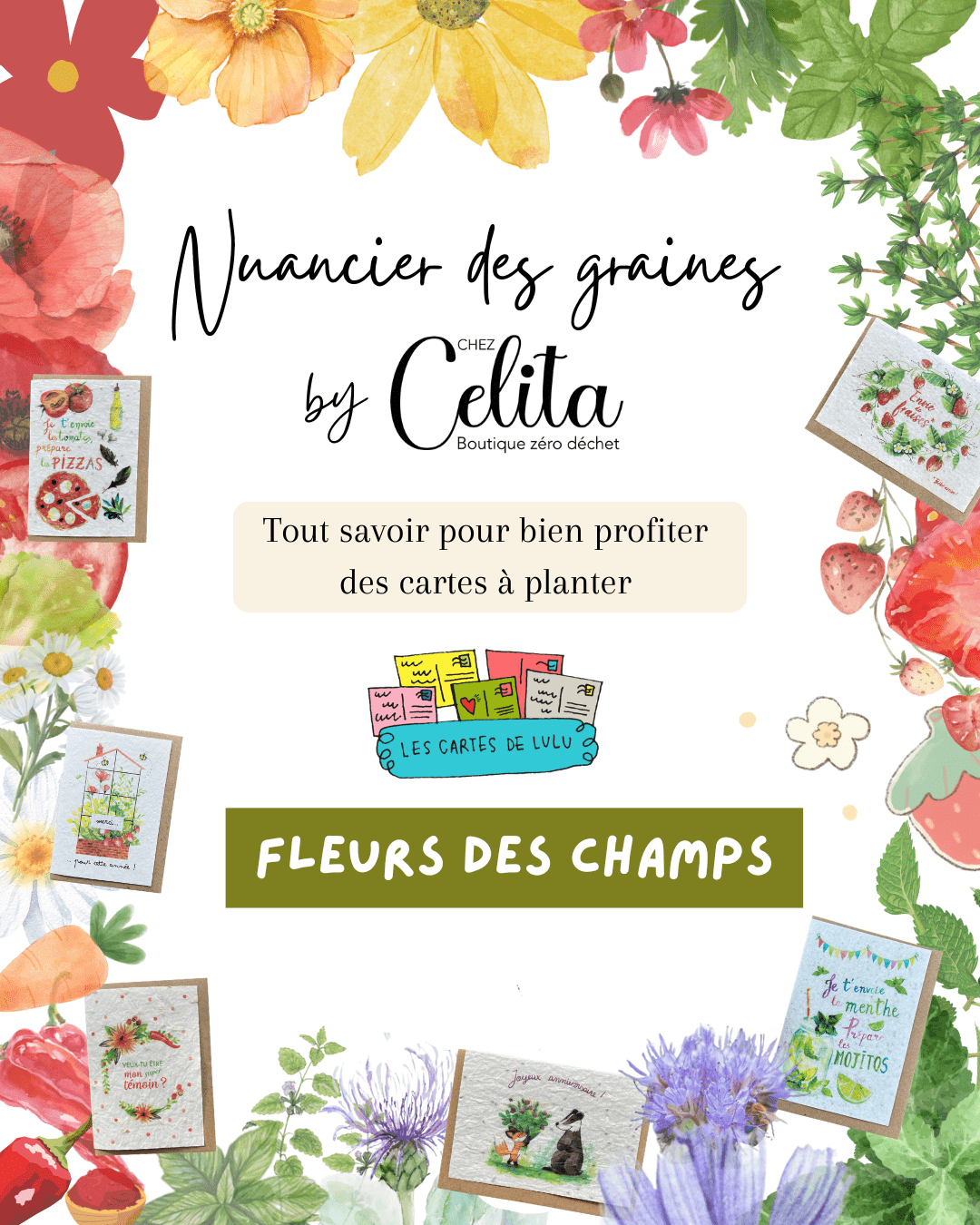 Nuancier des graines – cartes à planter fleurs des champs !